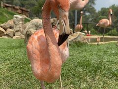 -沈阳森林动物园