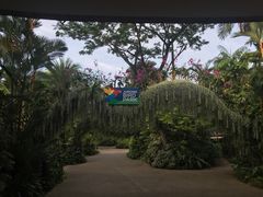 -新加坡飞禽公园