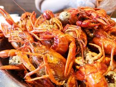 -不炭白烧烤(成都首店)
