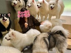 -瑞虹新天地月亮湾