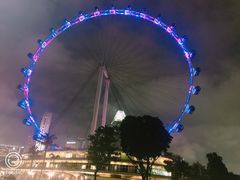 -新加坡摩天观景轮