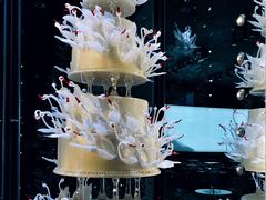 黑天鹅-BLACKSWAN黑天鹅(环球店)