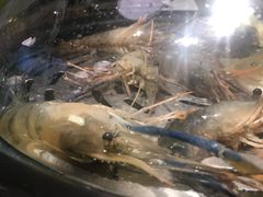 罗氏虾-日进一片海.生腌海鲜火锅.宵夜烧烤(三里屯总店)