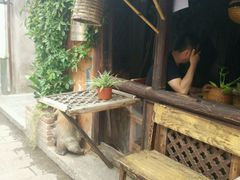 -飘香酒馆·私房菜