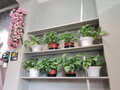 -鱼羊宴烤鱼羊蝎子烧烤(怡馨家园店)