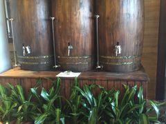 -三亚亚龙湾凯莱仙人掌度假酒店