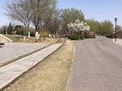 -永定河休闲森林公园