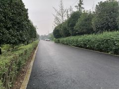 -洪湖家庭农场·团建·露营·会议