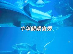 -北京海洋馆