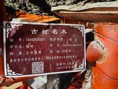 -大名府