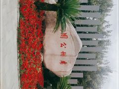 -处州公园