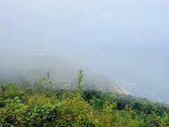 -棒棰岛宾馆景区
