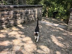 -上海佘山国家森林公园天马山园