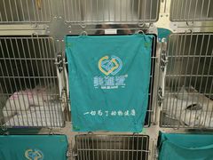 -美迦爱动物医院·夜诊(朝阳路诊疗中心)