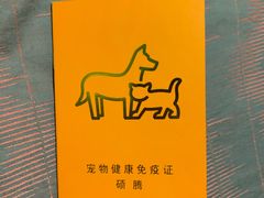 -东方名猫馆·英短金渐层布偶猫舍(环线广场1号楼店)