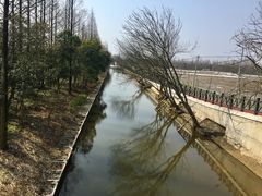 -上海长兴岛郊野公园