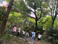 -大屏嶂森林公园