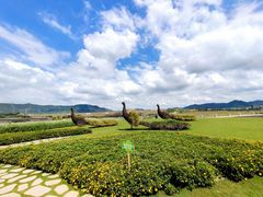-光明小镇欢乐田园
