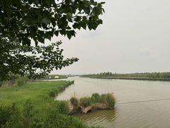 -西青郊野公园