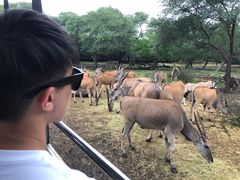 -卡塞拉自然公园