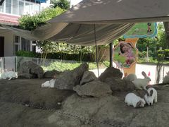 -洪湖家庭农场·团建·露营·会议