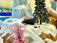 -湘江欢乐城欢乐雪域