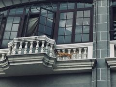 -珠江夜游省总码头