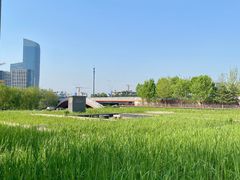 -西海子公园