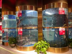 -蜀滋香鲜鱼美蛙火锅(339店)