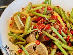 -郫都区农科村景区