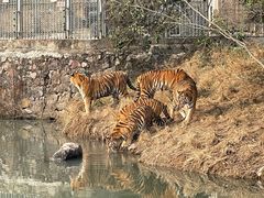 -宁波野生动物园