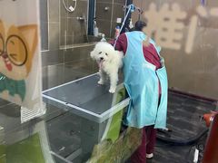 -美联众合动物医院(唯恩分院)