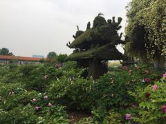 -曹州百花园