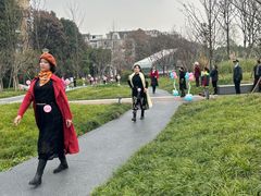 -神仙树公园