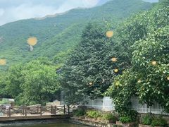 -荷塘味道(水长城店)