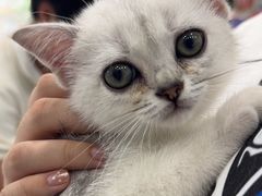 -安安宠医·臻爱宠物医院·宠保定点(营门口路分院)