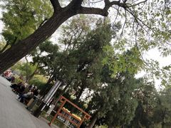 -文瀛公园