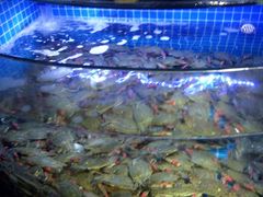 -前王院•巧克力海鲜市集餐厅(万平口店)