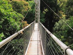 -乌鲁淡布隆国家公园