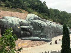 -三水森林公园