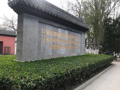 -桃花堤公园
