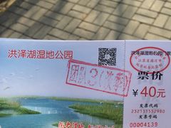 -泗洪洪泽湖湿地景区