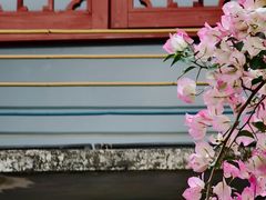 -三溪村