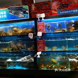 这个盒马鲜生在桃源村三期的楼下，在岁宝百货的负二层里