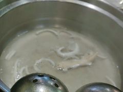 -润园四季椰子鸡火锅(海上世界店)