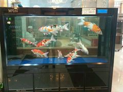 -老虎滩船说·海胆水饺·大连海鲜(老虎滩店)