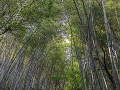 -敬亭山风景名胜区
