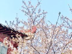 -西北湖绿化广场