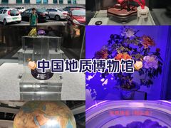 -中国地质博物馆