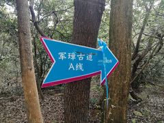 -宝界山林公园
